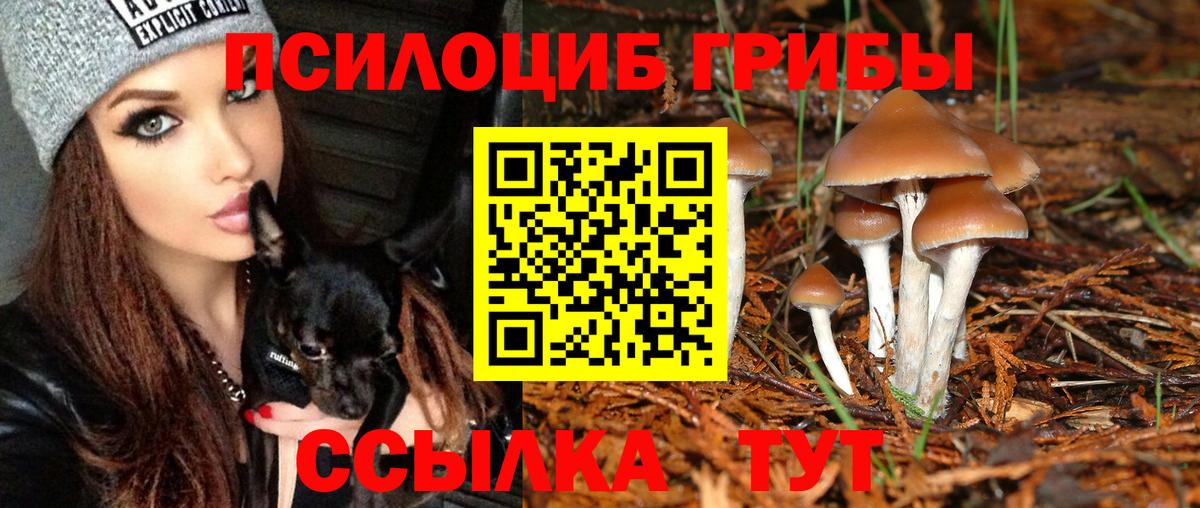 Галлюциногенные грибы ЛСД Вятские Поляны