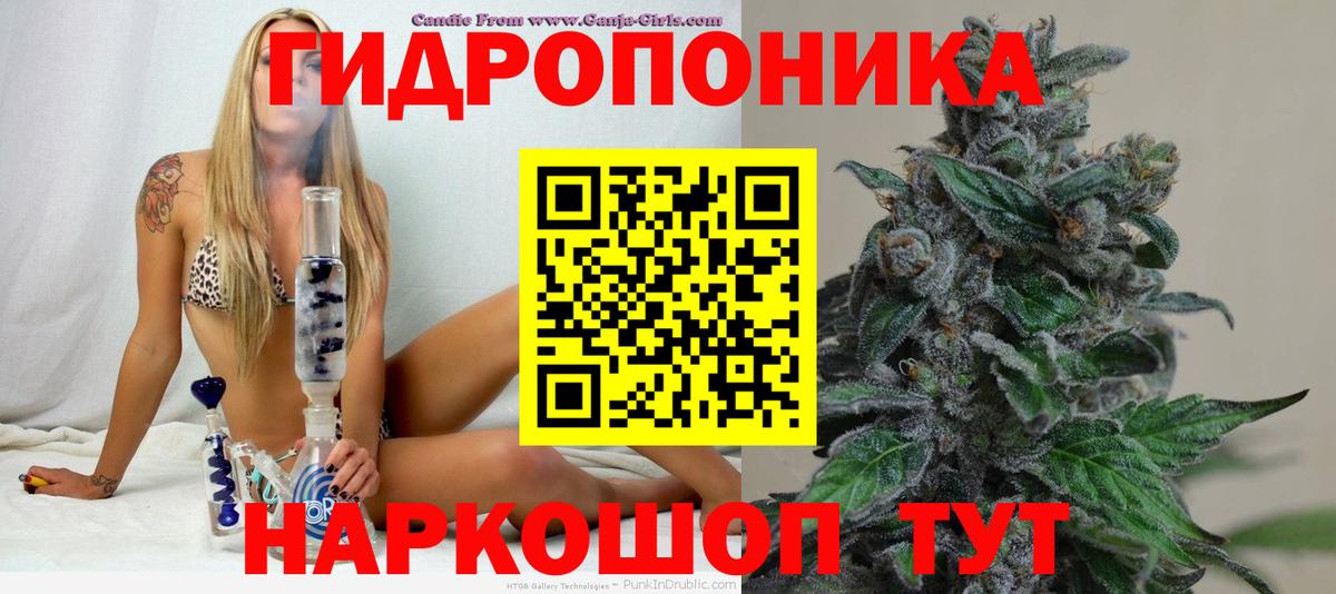 Каннабис ГИДРОПОН  Конопля тримм  Вход с VPN  Конопля OG Kush  Вятские Поляны  МАРИХУАНА тримм 